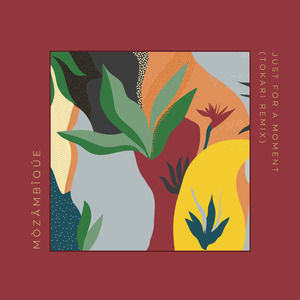 Just for a Moment (Tokari Remix)
