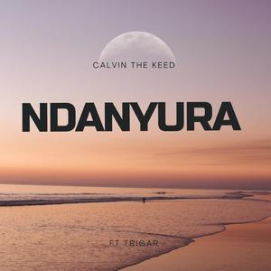 Ndanyura (feat. Trigar)