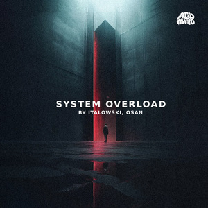 SYSTEM OVERLOAD (Original Mix)