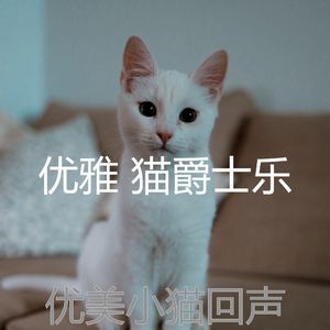 有趣小猫情怀