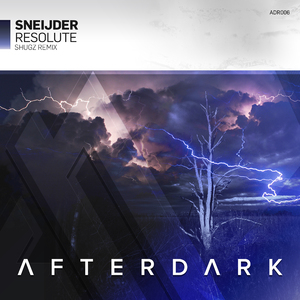 Resolute (Shugz Remix)