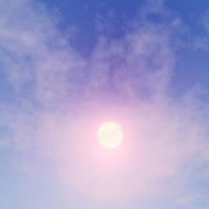 情深深雨濛濛