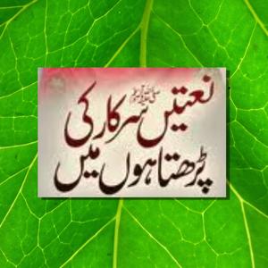 Naat Sarkar ki Parta Hu Ma