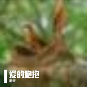 螭纹鼎寂