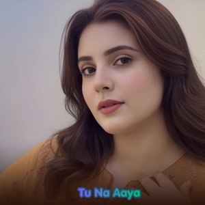 Tu Na Aaya