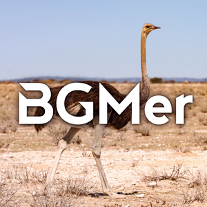 タベモノサガシ