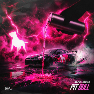 PIT BULL