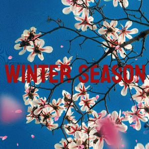 *⸜( •ᴗ• )⸝*