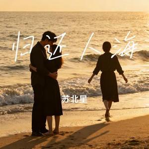 归还人海 (Cover 姚美雪)
