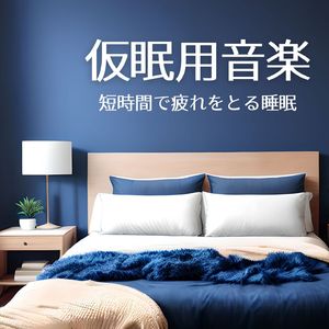 月の光が照らす夜