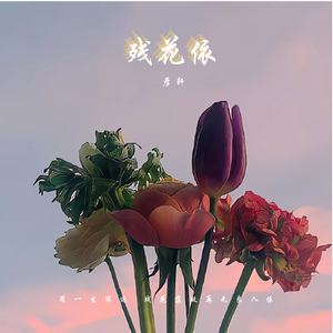 残花依（伴奏）