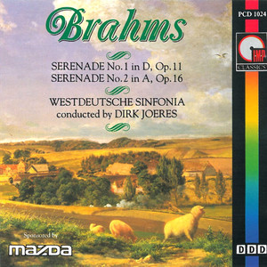 Serenade No 1 in D Major, Op. 11: III. Adagio non troppo