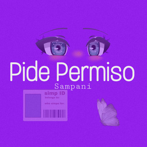 Pide Permiso