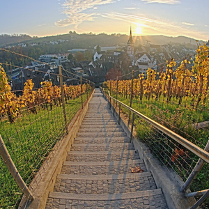 夜闭上双眼不说话