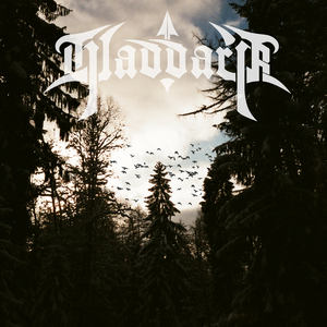 Темный север