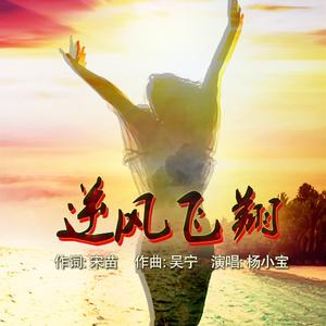 逆风飞翔