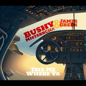 Tell Me Where Ya (feat. MisterrCha & Bushy)
