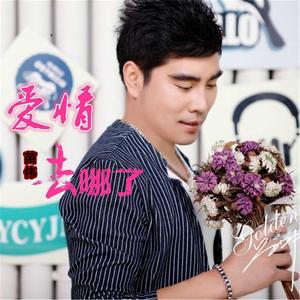 爱情去哪了 (伴奏)