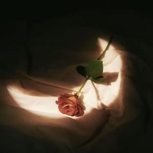 给月亮的三行诗