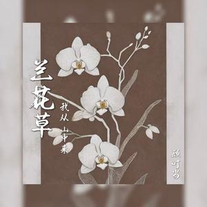 兰花草(我从山中来)
