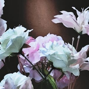 想像一只未来的玫瑰