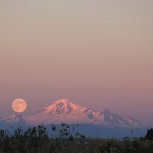 铁甲凝霜雪满弓