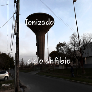 Ciclo Anfibio