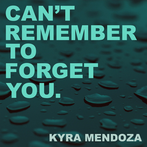Can't Remember to Forget You (Karaoke Acoustic Edit)