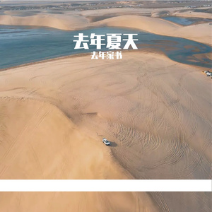 去年夏天