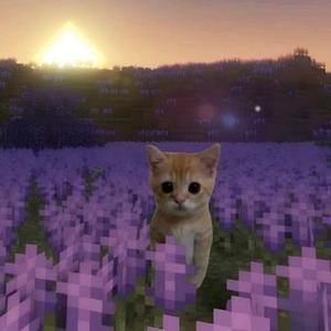 日落最后一小时