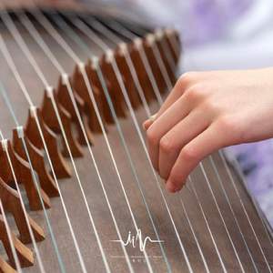 丛林里 (古筝安神曲)