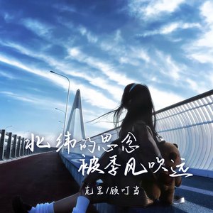 北纬的思念被季风吹远