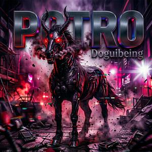POTRO