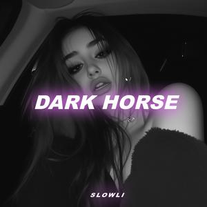Dark Horse (Slowed & Reverb)