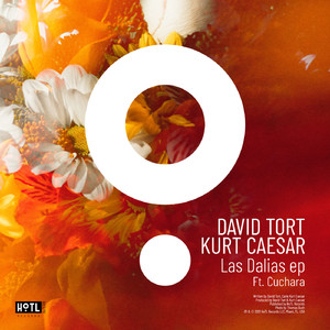 As Above So Below (feat. Cuchara) (Extended Mix)