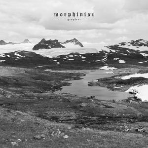 Die zweite Metamorphose