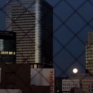 星辰大海（钢琴版）