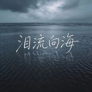 泪流向海