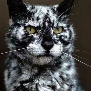 Jaana Samjho Na (sped up)