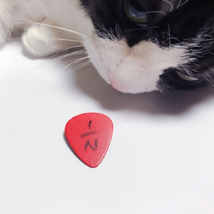 노을만 예쁘네 (Remaster)