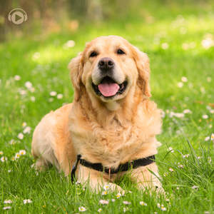 NewsPaper (feat. いもぞう)