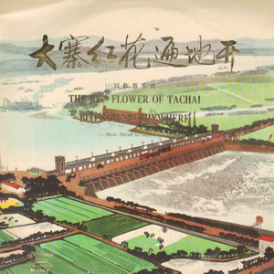 昆仑盛开大寨花