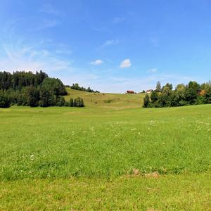 好想爱这个世界啊（温柔男声版）