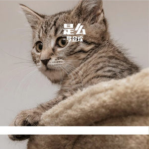 388a_2ebc_4c02_dfa3c2cf07146dd519f445c11032298e 伴奏