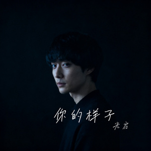 你的样子