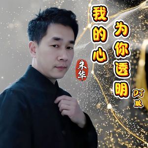 我的心为你透明DJ 版