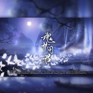 魂梦同君（剧情版）