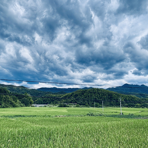 那个夏天（DEMO）.wav