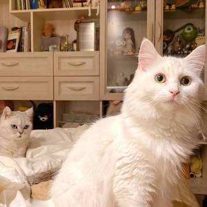 遇见你的时候所有星星都落到我头上