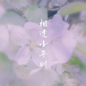 相逢少年时